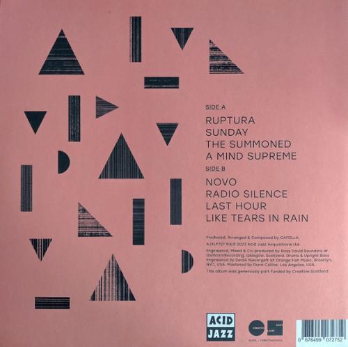 Виниловая пластинка Mama Terra - The Summoned (Black Vinyl LP)