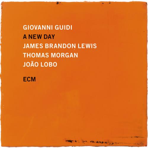 Виниловая пластинка Giovanni Guidi - A New Day (Black Vinyl LP)