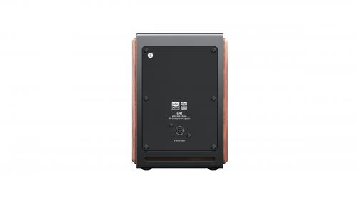 Полочная акустика FiiO SA1 (F3053S) Twilight Black