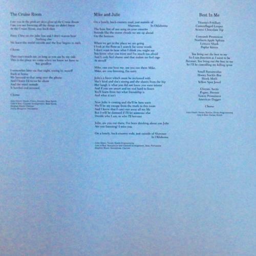 Виниловая пластинка John Grant - Boy From Michigan (Black Vinyl 2LP)