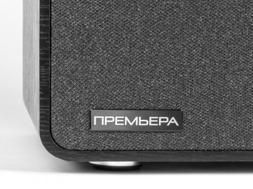 Многофункциональная активная акустическая система PREMIERA ES-422A BK