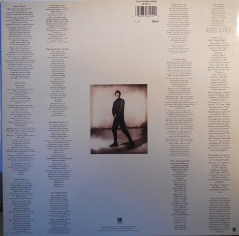 Виниловая пластинка Sting, The Soul Cages
