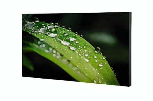 Профессиональный дисплей для видеостен Dahua DHI-LS550UEH-UG