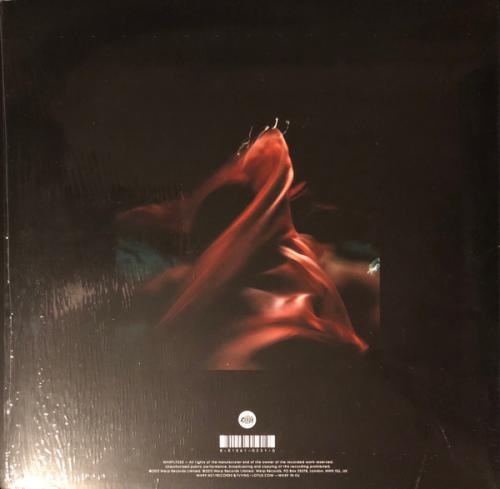 Виниловая пластинка Flying Lotus - Until The Quiet Comes (Black Vinyl 2LP)