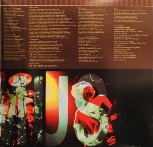 Виниловая пластинка Primus, Brown Album