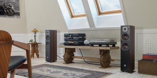 Напольная акустика Dali Oberon 5 light oak