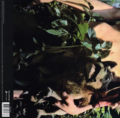 Виниловая пластинка Fleetwood Mac — MR. WONDERFUL (LP)