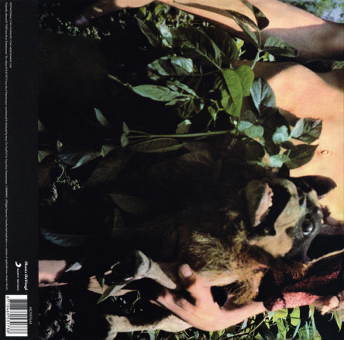 Виниловая пластинка Fleetwood Mac — MR. WONDERFUL (LP)