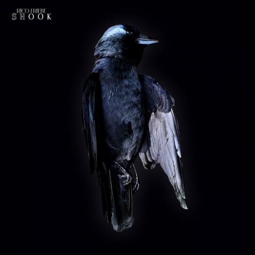 Виниловая пластинка Rico Friebe - Shook (Black Vinyl LP)