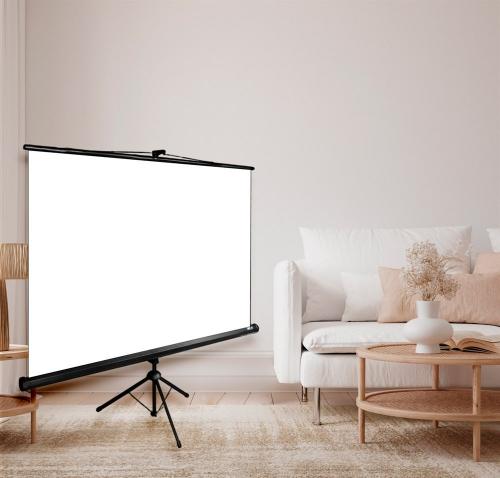 Экран Cactus Triscreen CS-PST-124x221
