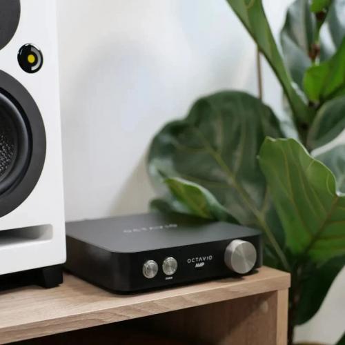Интегральный усилитель Octavio Amp 65W
