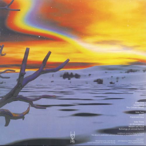 Виниловая пластинка Coil - Musick To Play In The Dark 2 (Black Vinyl 2LP)