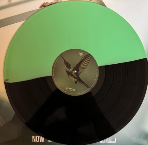 Виниловая пластинка Jennifer Lopez - This Is Me...Now (Evergreen Vinyl LP)