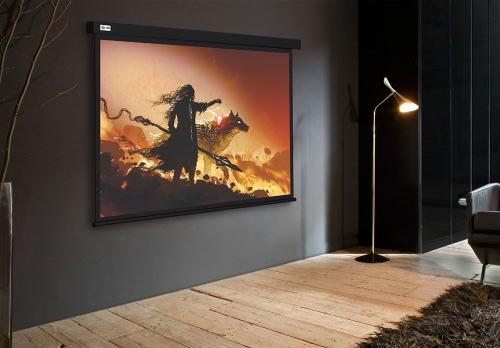 Экран Cactus Wallscreen CS-PSW-149x265-BK