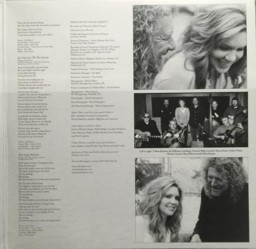 Виниловая пластинка Robert Plant; Krauss, Alison - Raising Sand (Black Vinyl 2LP)