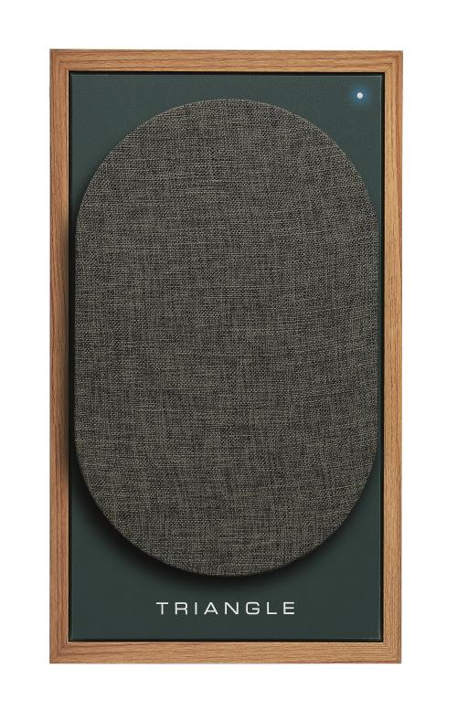 Полочная акустика Triangle BOREA BR02 Connect Oak Green