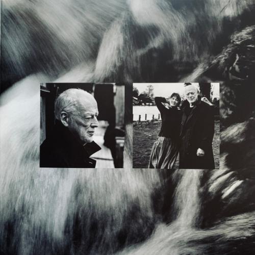 Виниловая пластинка David Gilmour - Luck And Strange (Translucent Sea Blue LP)