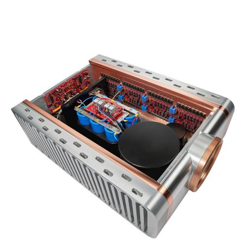Усилитель мощности Dan D’Agostino Relentless Monoblock Amplifier EPIC 1600 Silver