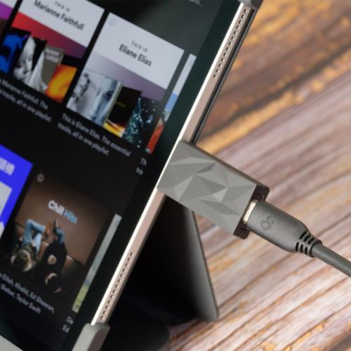 Фильтр iFi Audio iSilencer 3.0 Type C
