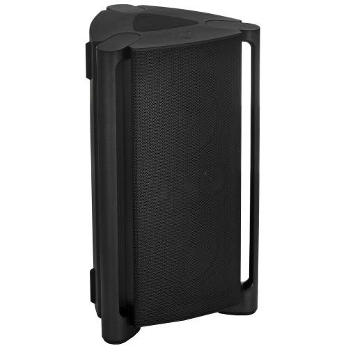 Минисистема TCL TP300K