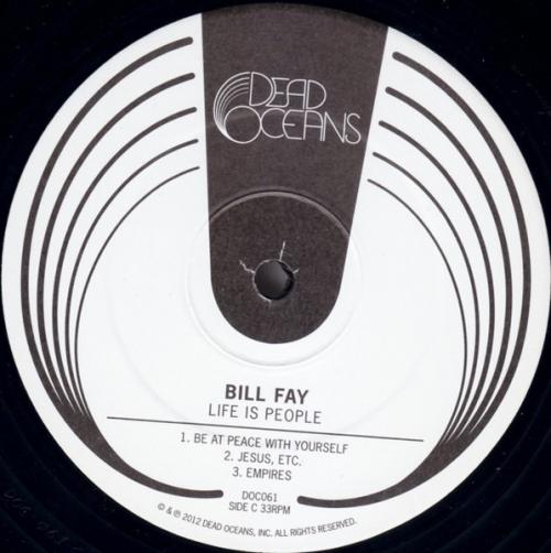 Виниловая пластинка Bill Fay - Life Is People (Black Vinyl 2LP)