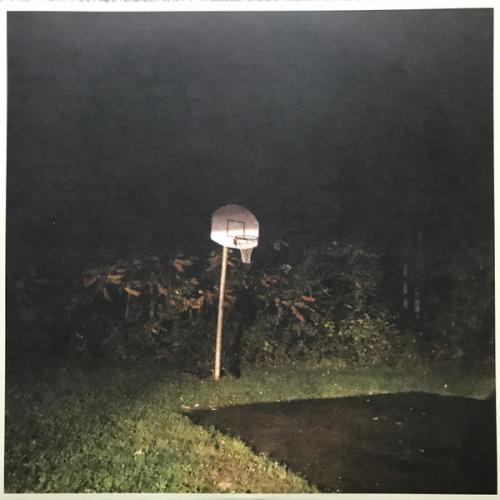Виниловая пластинка Bon Iver - I,I (Black Vinyl LP)