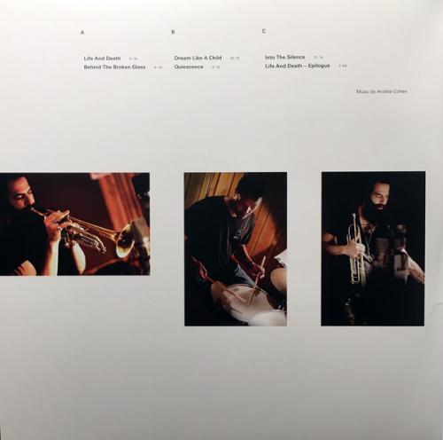 Виниловая пластинка Avishai Cohen INTO THE SILENCE