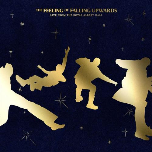 Виниловая пластинка 5 Seconds Of Summer - The Feeling Of Falling Upwards (Black Vinyl 2LP)