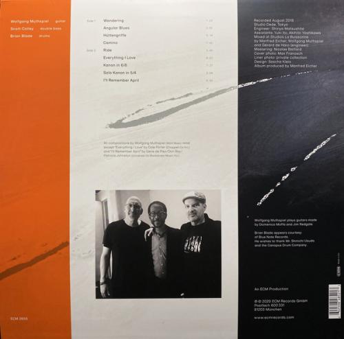 Виниловая пластинка Wolfgang Muthspiel/S.Colley, B.Blade — ANGULAR BLUES (LP/180g)