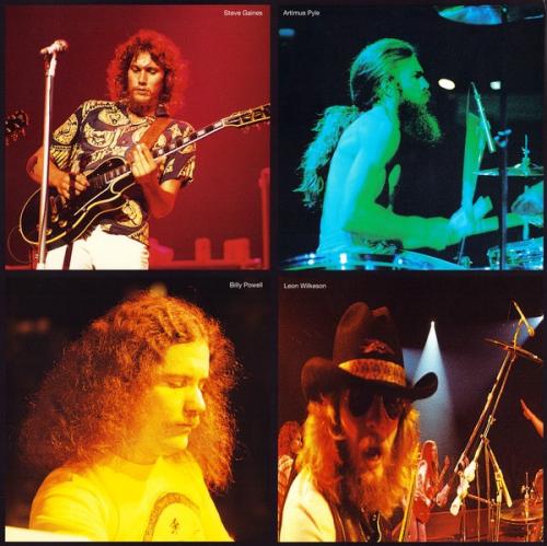 Виниловая пластинка LYNYRD SKYNYRD - ONE MORE FROM THE ROAD (2LP)