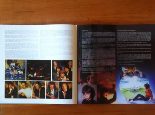 Виниловая пластинка Marillion MISPLACED CHILDHOOD (DELUXE/BOX SET)