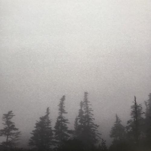 Виниловая пластинка Godspeed You Black Emperor! - G_d's Pee At State's End! (Black Vinyl 2LP)