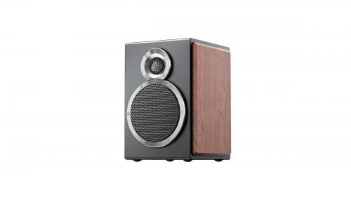 Полочная акустика FiiO SA1 (F3053S) Twilight Black