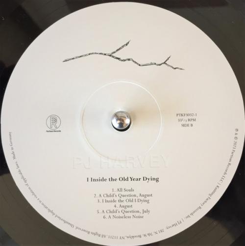 Виниловая пластинка Harvey, PJ - I Inside The Old Year Dying (Black Vinyl LP)