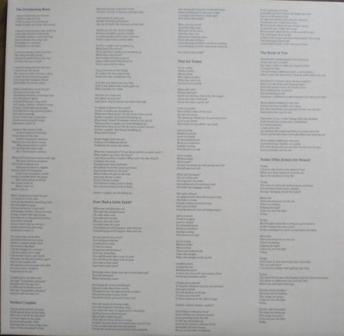 Виниловая пластинка Belle & Sebastian - Girls In Peacetime Want To Dance (Black Vinyl 2LP)