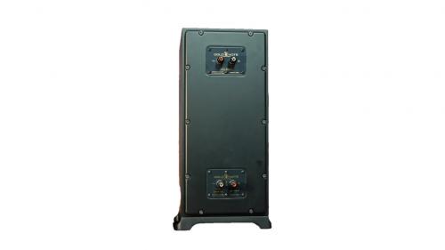 Сабвуфер Gold Note Diana III-F Black