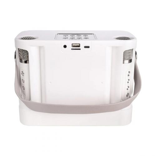 Переносная караоке система Iconbit K902W
