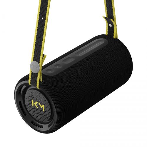 Портативная акустика Loewe We. HEAR pro by Kylian Mbappe Black