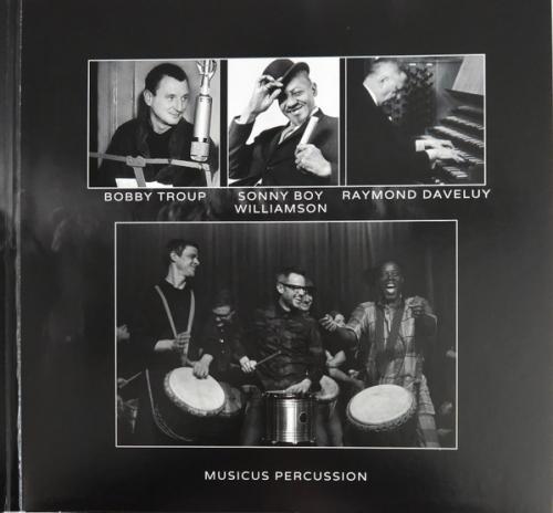 Виниловая пластинка Various Artists - Audiophile Analog Collection Vol.1 (Analogue) (Black Vinyl 2LP)