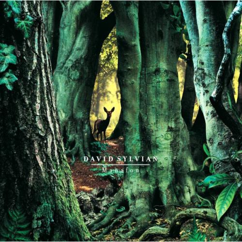 Виниловая пластинка David Sylvian - Manafon (Black Vinyl 2LP)