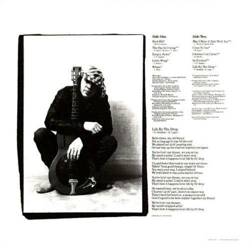 Виниловая пластинка Stevie Ray Vaughan - The Sky Is Crying (Black Vinyl LP)