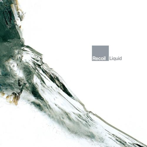 Виниловая пластинка Recoil - Liquid (Black Vinyl 2LP)
