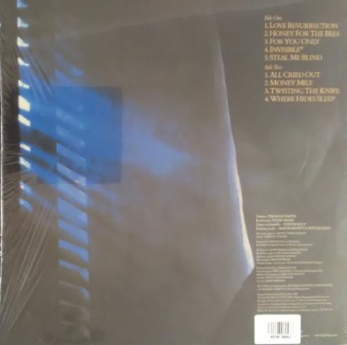 Виниловая пластинка Alison Moyet - Alf (Black Vinyl LP)