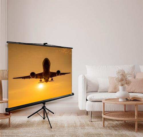 Экран Cactus Triscreen CS-PST-124x221