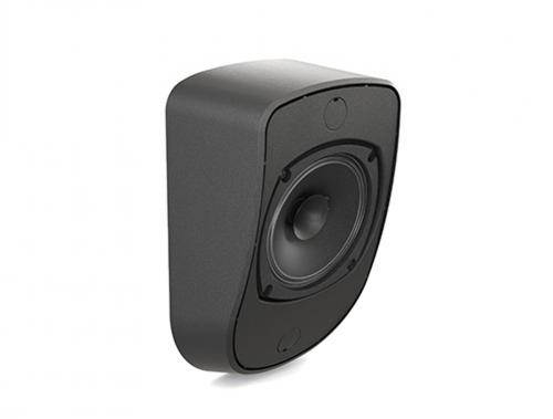 Настенный громкоговоритель CVGaudio WPL6TBL