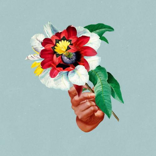 Виниловая пластинка Maribou State - Kingdoms In Colour (Black Vinyl LP)