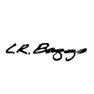 LR Baggs