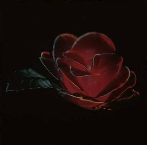 Виниловая пластинка Beach House - Depression Cherry (Black Vinyl LP)