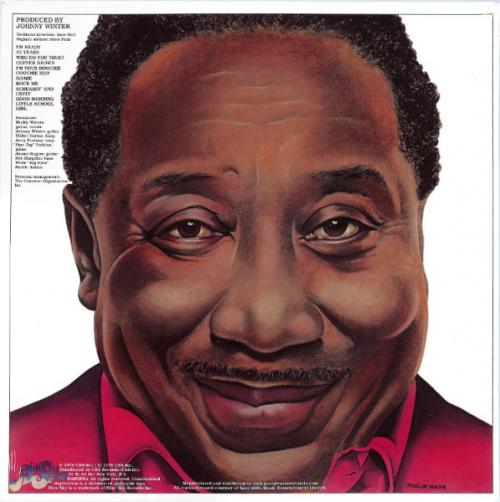 Виниловая пластинка Muddy Waters - I'm Ready (Analogue) (Black Vinyl LP)