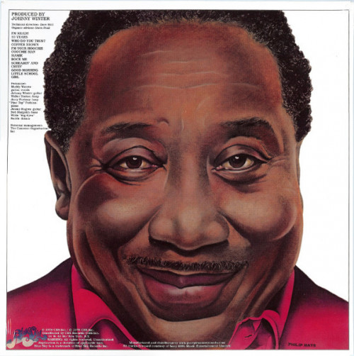 Виниловая пластинка Muddy Waters - I'm Ready (Analogue) (Black Vinyl LP)